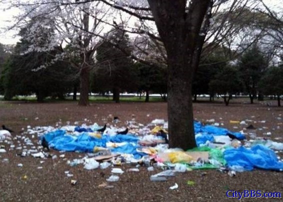 中国游客来了！日本景区遭遇樱花浩劫