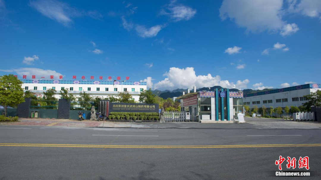酉阳板溪轻工业园的昆药集团重庆武陵山制药有限公司