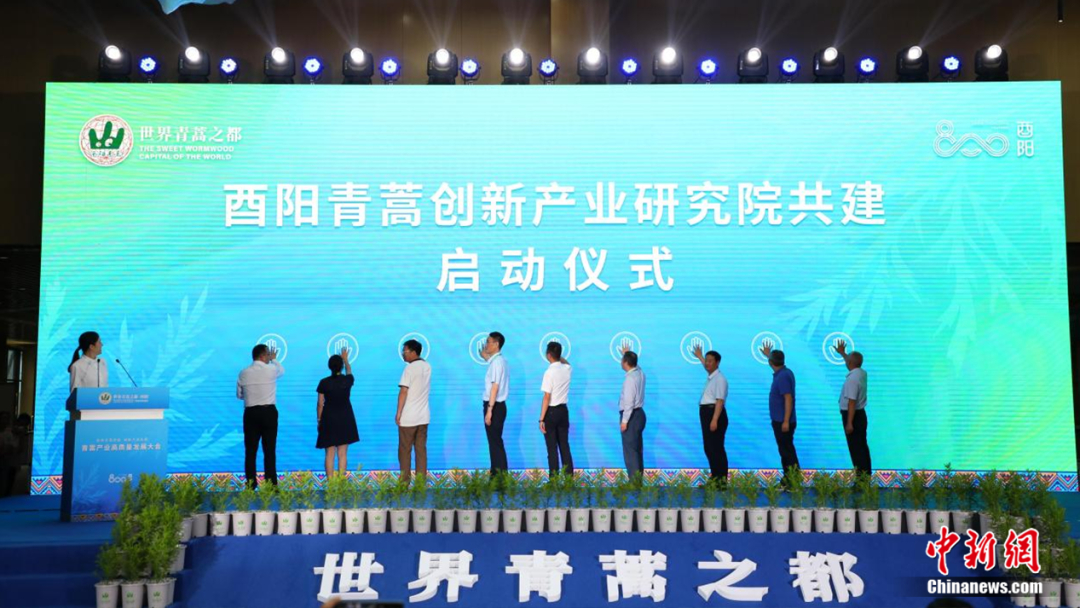 酉阳青蒿创新产业研究院共建启动仪式举行