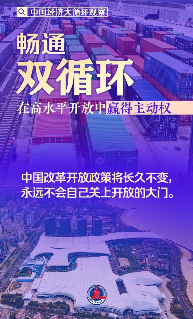 畅通双循环：在高水平开放中赢得主动权